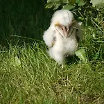 Deelenwohnung Trebel
