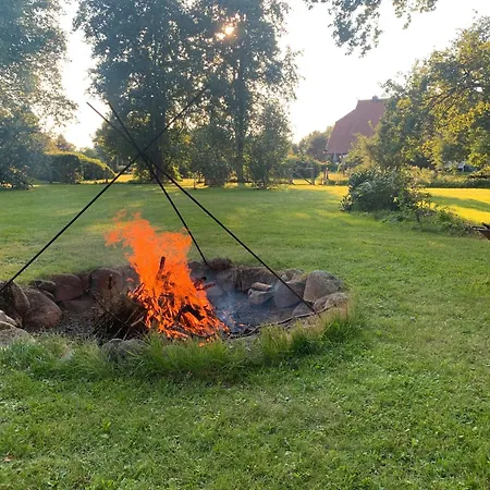 Daire Deelenwohnung Trebel