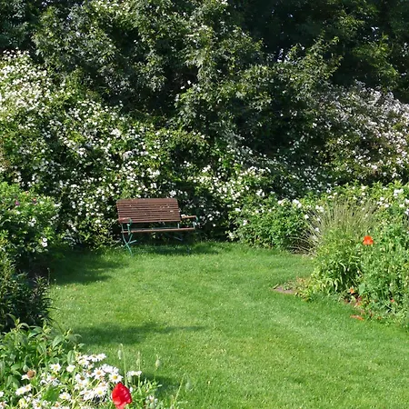 Daire Deelenwohnung Trebel